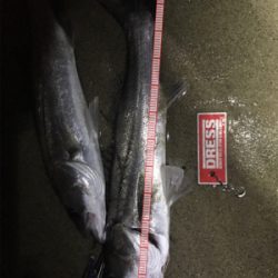 ナイトウェーディング