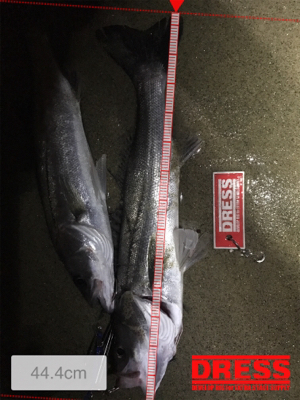 ナイトウェーディング