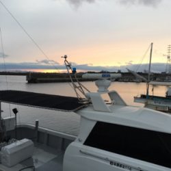 初めてのタイサビキ