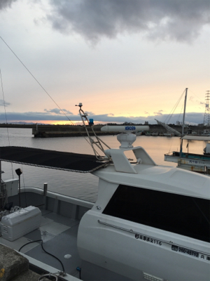 初めてのタイサビキ