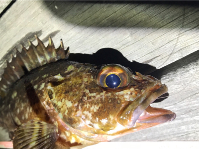 渋い、そして寒い