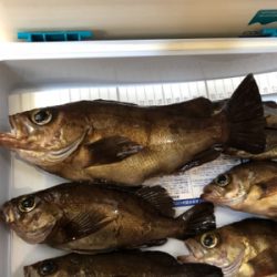 メバリング釣行