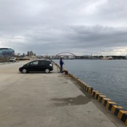 サビキ釣り！今日はファミリーフィッシング