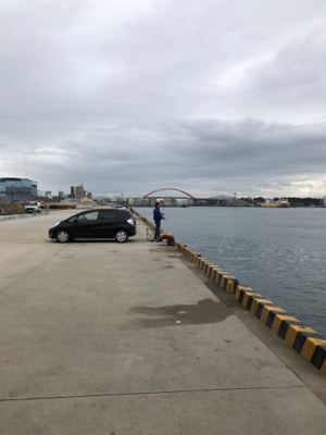 サビキ釣り！今日はファミリーフィッシング