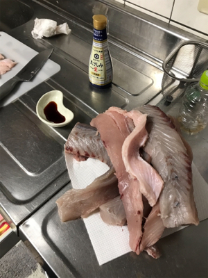 ショアからメーターサワラ