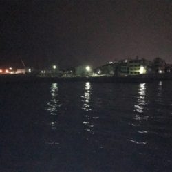 風と雨とメバリング