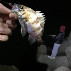 鳥取暴風からの姫路(  ˙-˙  )