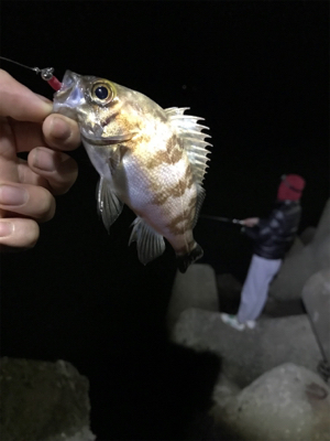 鳥取暴風からの姫路(  ˙-˙  )