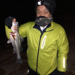 メバリングナイトゲーム♪シーバシング♪