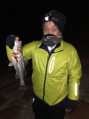 メバリングナイトゲーム♪シーバシング♪