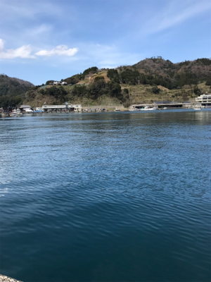 ショアジギングで