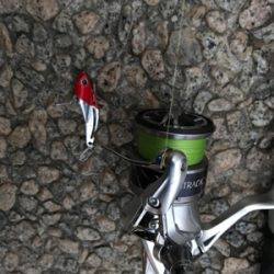 夕マズメ シーバス