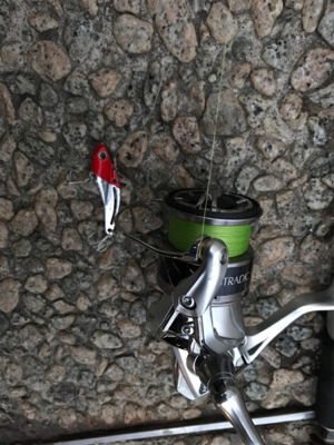 夕マズメ シーバス