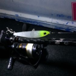 プラッキングも楽しめるシーズン！