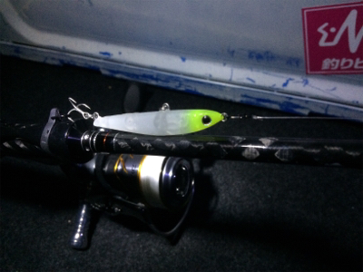 プラッキングも楽しめるシーズン！