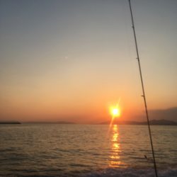 ロックフィッシュ便