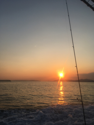 ロックフィッシュ便