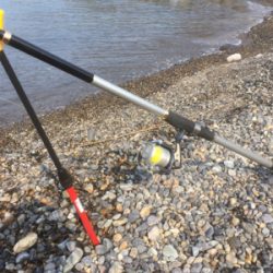 ぼうずはまのがれた