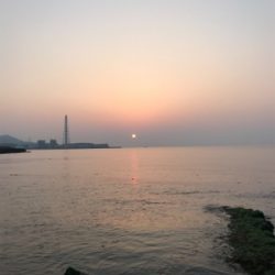 まだ春が来ない？