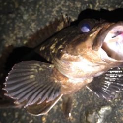 生命感を感じない…