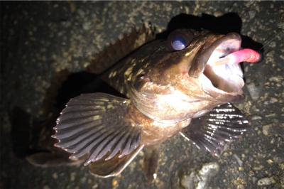 生命感を感じない…