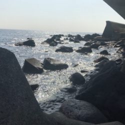 久々のカサゴ来ました！