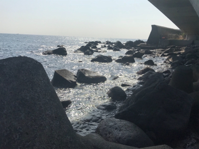 久々のカサゴ来ました！