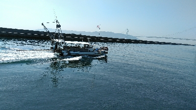 コブダイ釣りにかかったアイナメ