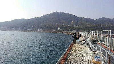 今年最初のカレイ