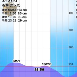 安治川シーバス