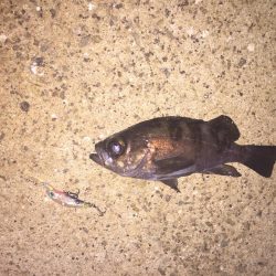 せっかく期待したのに！