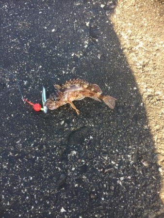 カサゴの唐揚げ