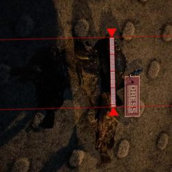 久しぶりにあったかく釣り来ました