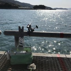 デカヒラメを求めて！