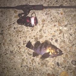 お雛様に感謝！