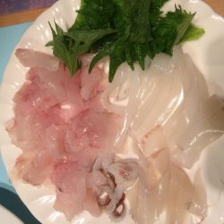 イカ&根魚