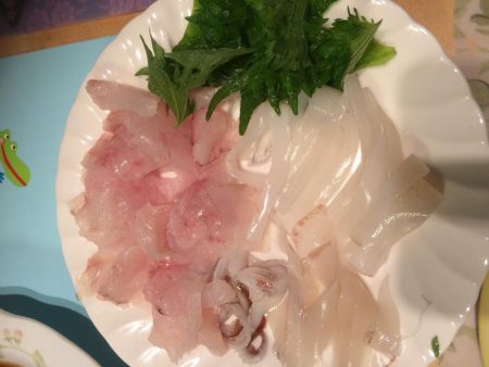 イカ&根魚