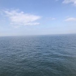 貝塚人工島行ってみた