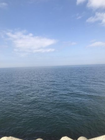 貝塚人工島行ってみた