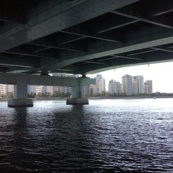 エビ撒き絶好調！