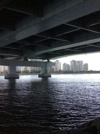 エビ撒き絶好調！