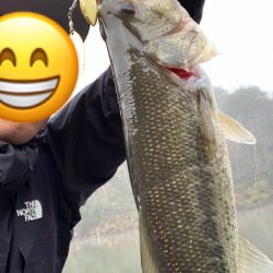 バスフィッシング