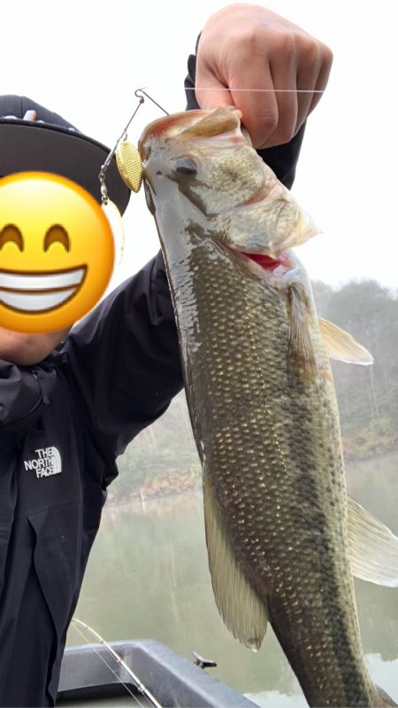 バスフィッシング