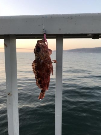 サイズが、、、