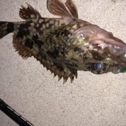 奴らは意外と足元に…！！