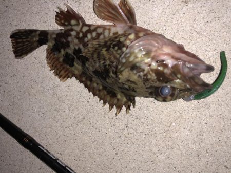 奴らは意外と足元に…！！