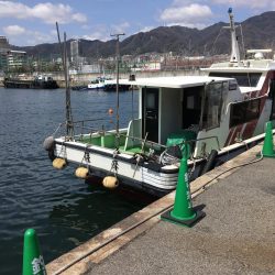 銀ピカシーバス