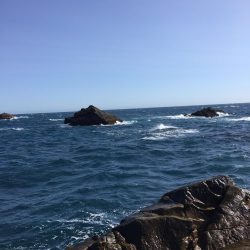 グレフカセ厳しい