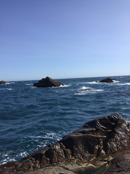 グレフカセ厳しい