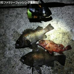 短時間でメバル2匹